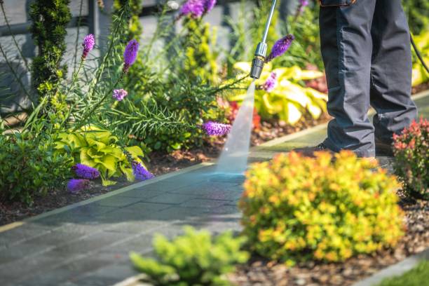 Reliable Frazier Park, CA  Pressure Washing Services Solutions
